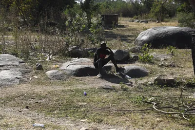 DSC_2706 (Large).JPG